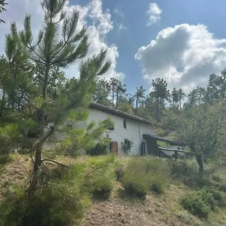 Cacalupa A Paradise Between Woods And Lavander * Ovada
