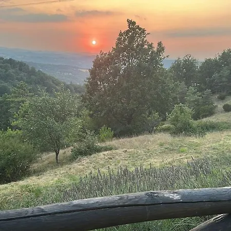 Casa vacanze Cacalupa A Paradise Between Woods And Lavander *