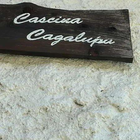 Cacalupa A Paradise Between Woods And Lavander * Ovada
